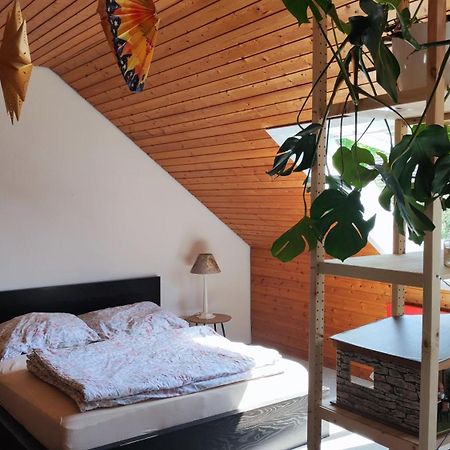Big Cozy Entire Family Appartment ฮันโนเวอร์ ภายนอก รูปภาพ